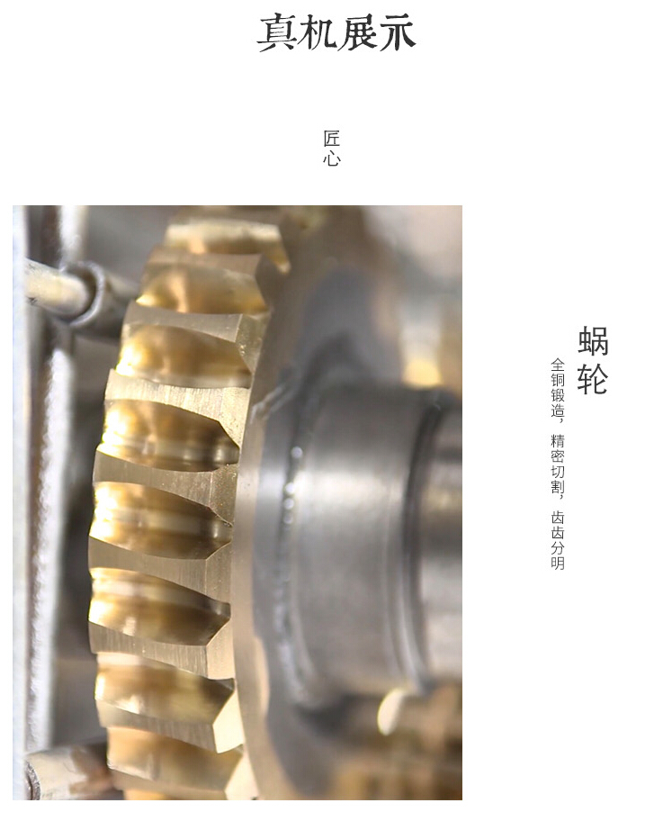 UDL无极变速机 UDL无极变速机